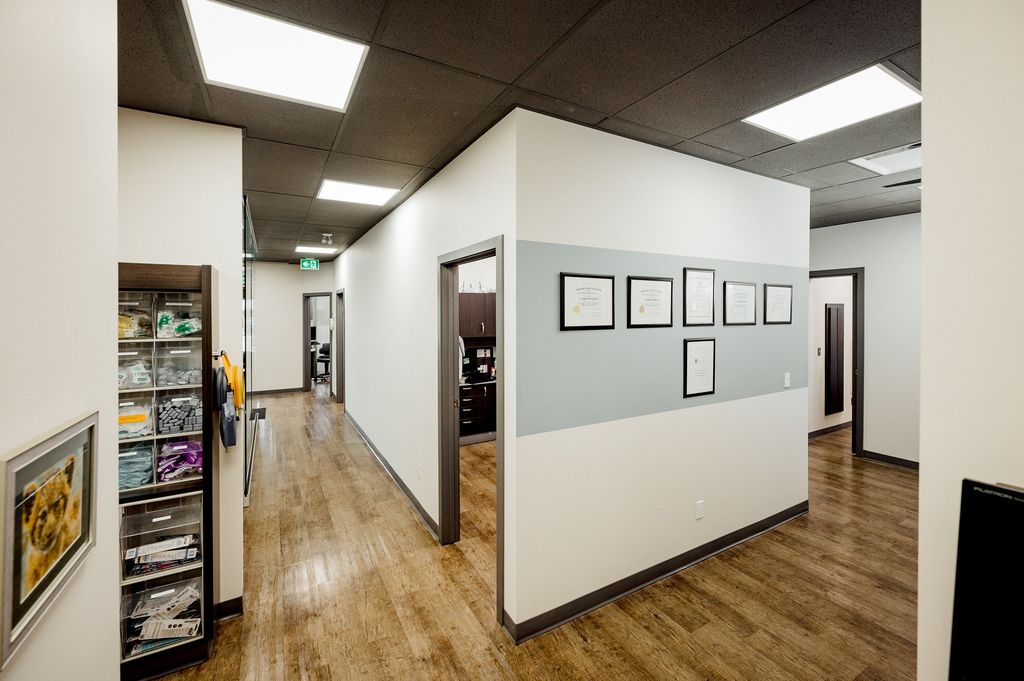 Dentist Jamaica, Jamaica Marcia Barnes Jamaica, West Indies Dentist