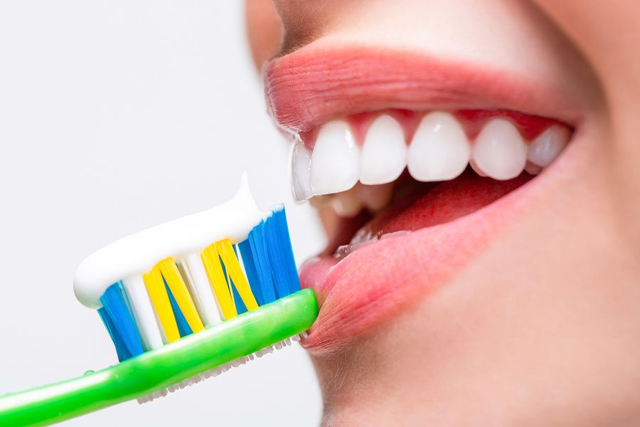 Is My Toothbrush Full Of Germs? Grace & Leedy Lakewood, CO