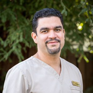 Redwood City Dental Care  General and Cosmetic Dentist Redwood