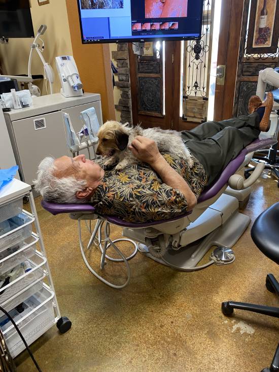 Service-dog