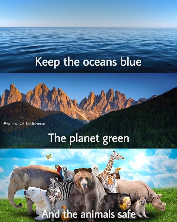 quotes