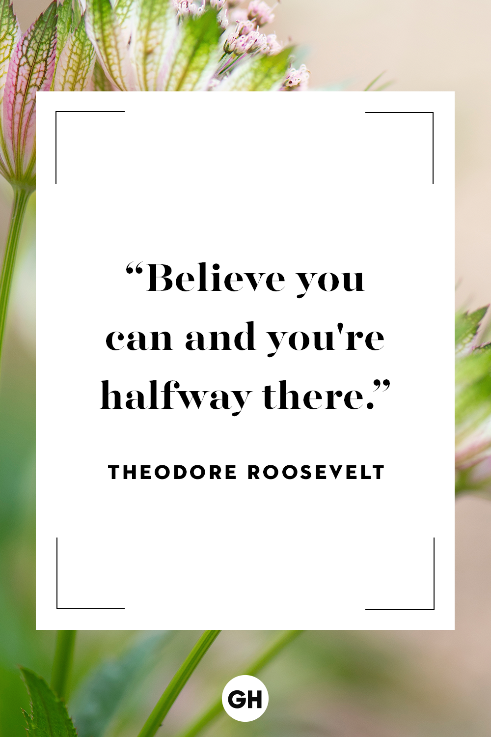 quotes