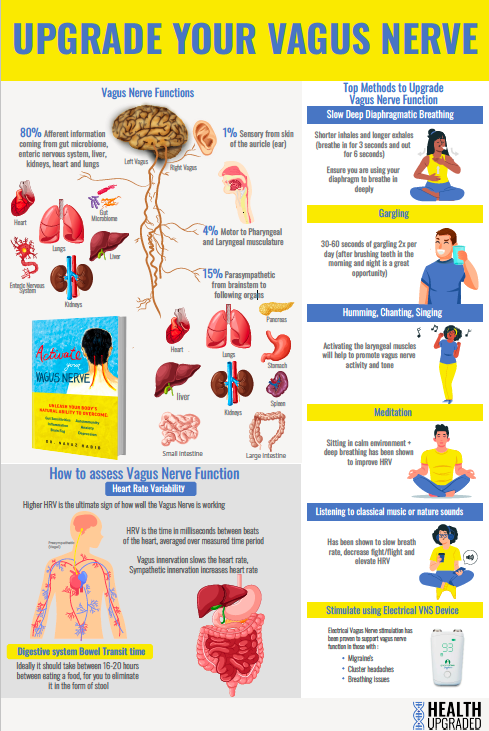 https://gp-assets-1.growthplug.com/website_files/3827/VN_Infographic.png