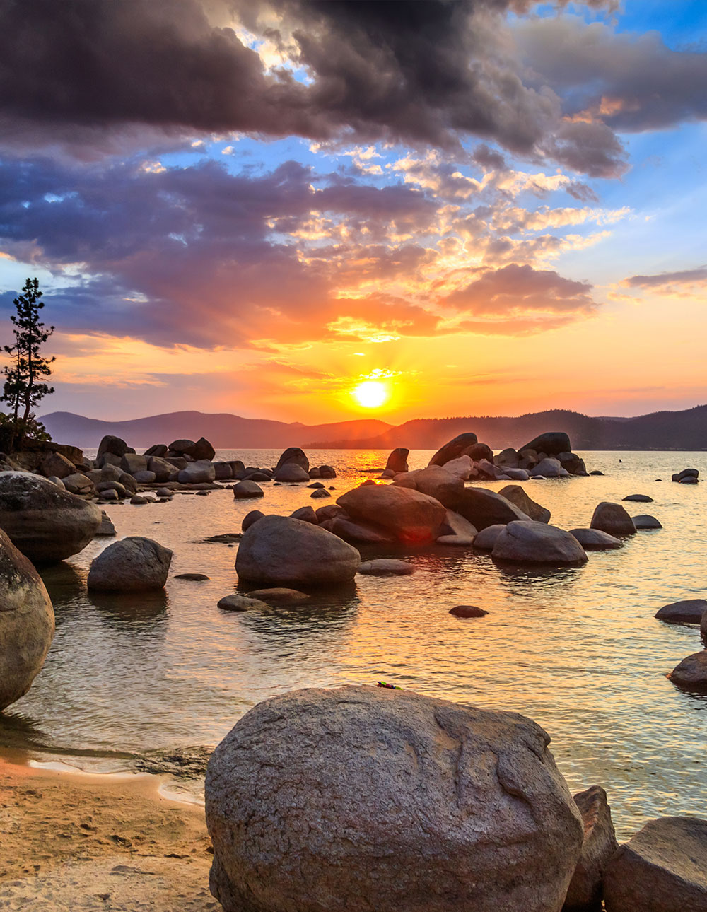 Dentist Reno, NV Dicus Family Dentistry Reno, NV Dentist Dentist