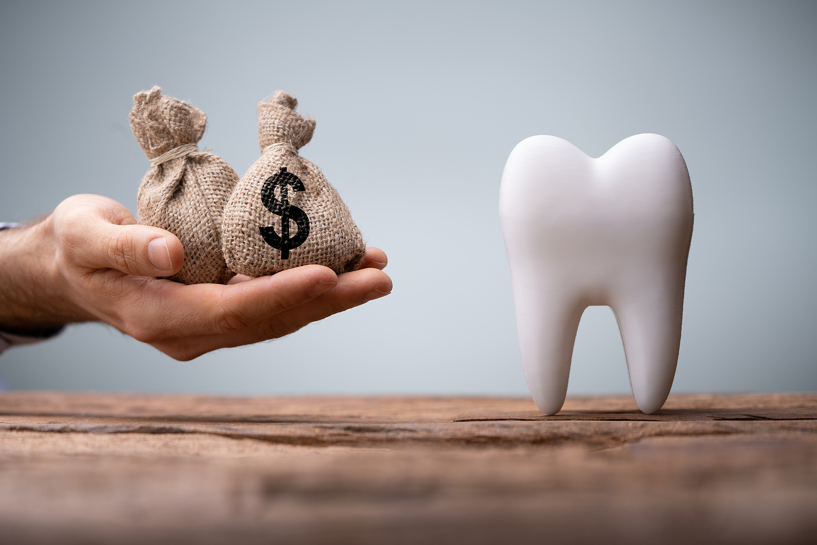 The Best Dental Insurance In Florida