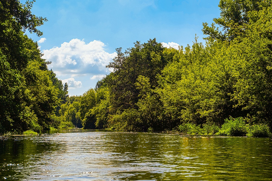 This is a thumbnail image of blog The River Within