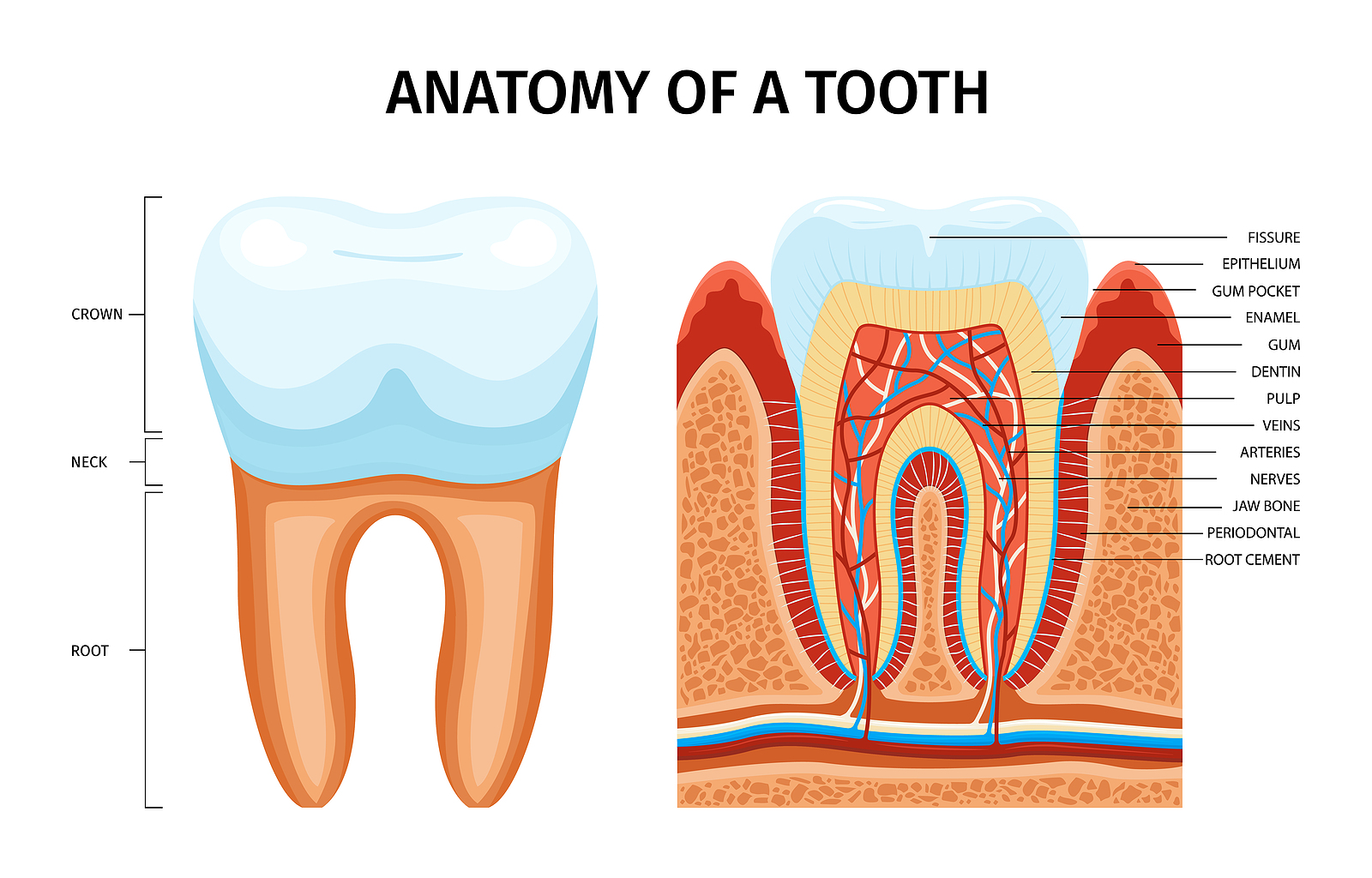 Greater Dental Health Greater Dental Health