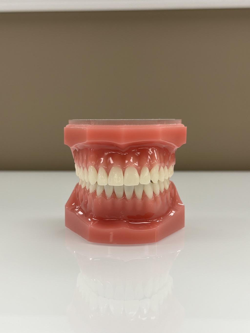 Knoxville Orthodontics Knoxville Orthodontics