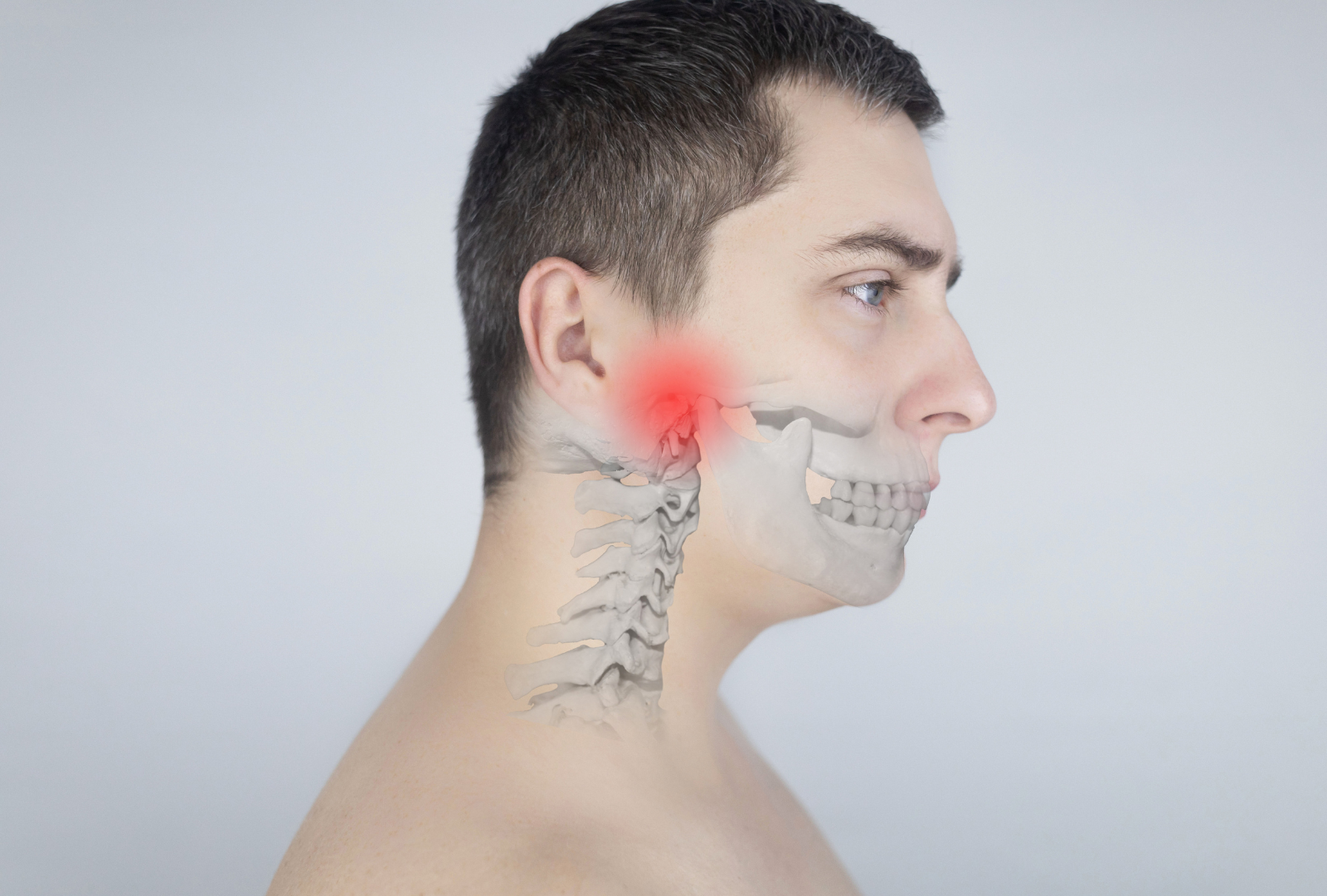 A Photo Showing Anatomy of Jaw and the Pressure Area for TMJ Pain A Photo Showing Anatomy of Jaw and the Pressure Area for TMJ Pain