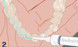 Alexander & Martin Orthodontics