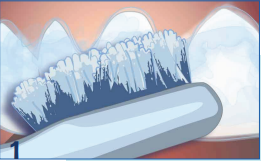 Alexander & Martin Orthodontics