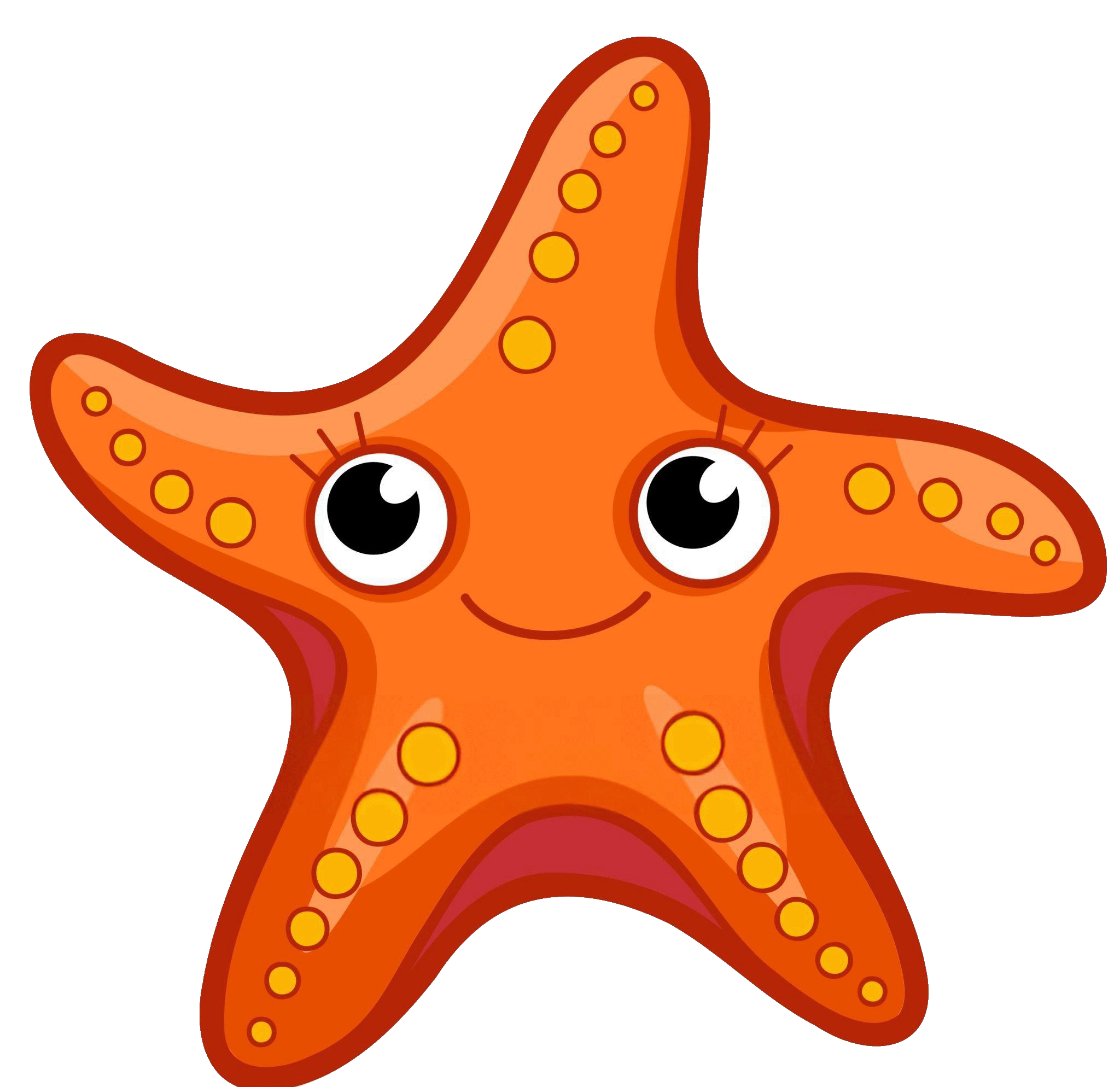 Starfish Image