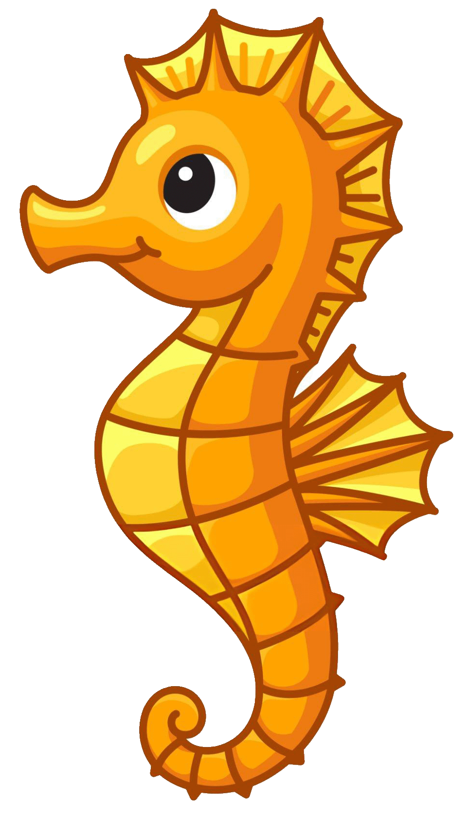 Seahorse Image