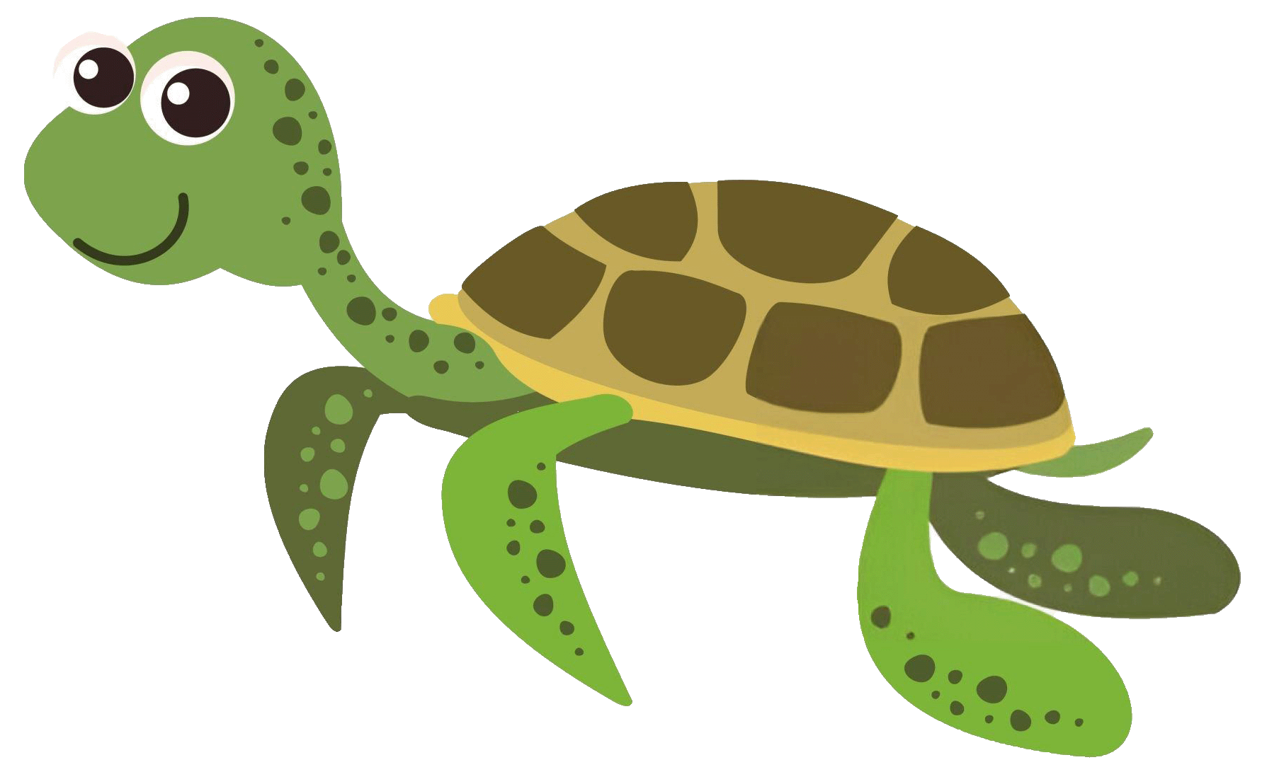 Tortoise Image